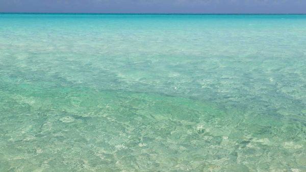 Bahamas, Exuma Island Seascape of Shroud Cay